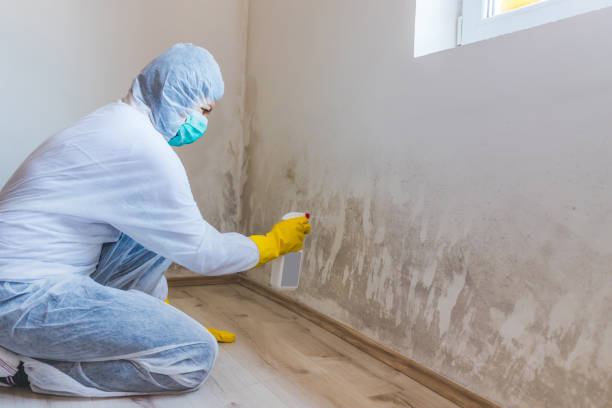 Licensed Crawl Space Mold Removal service in Vienna, IL - WQB Mold Removal