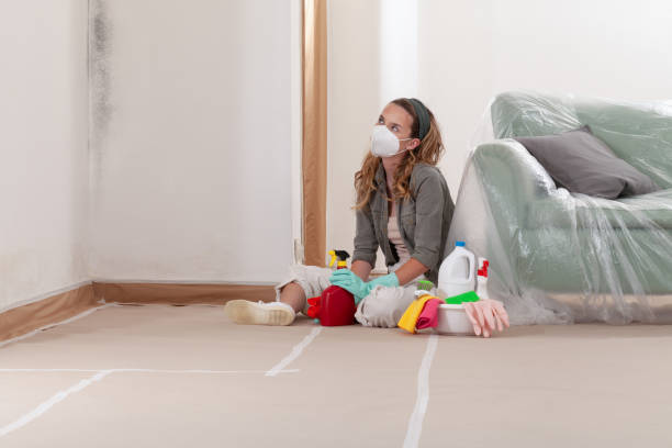 Reliable Crawl Space Mold Removal contractor in Vienna, IL by WQB Mold Removal